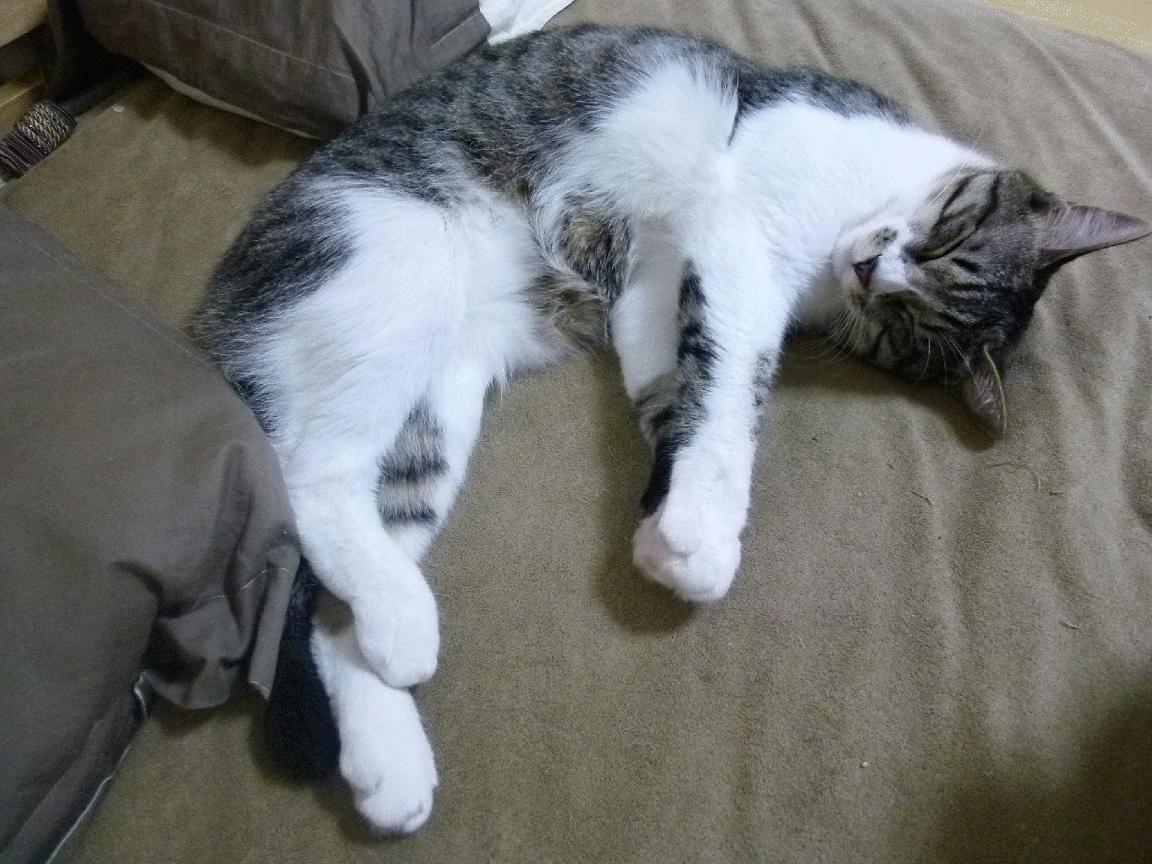 开云平台-“西甲激战频繁：强队难以轻松取胜”，西甲强度