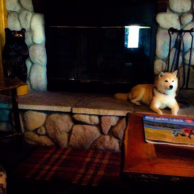 传奇教练的欧冠战术秘诀，获胜的关键因素，欧冠足球教练